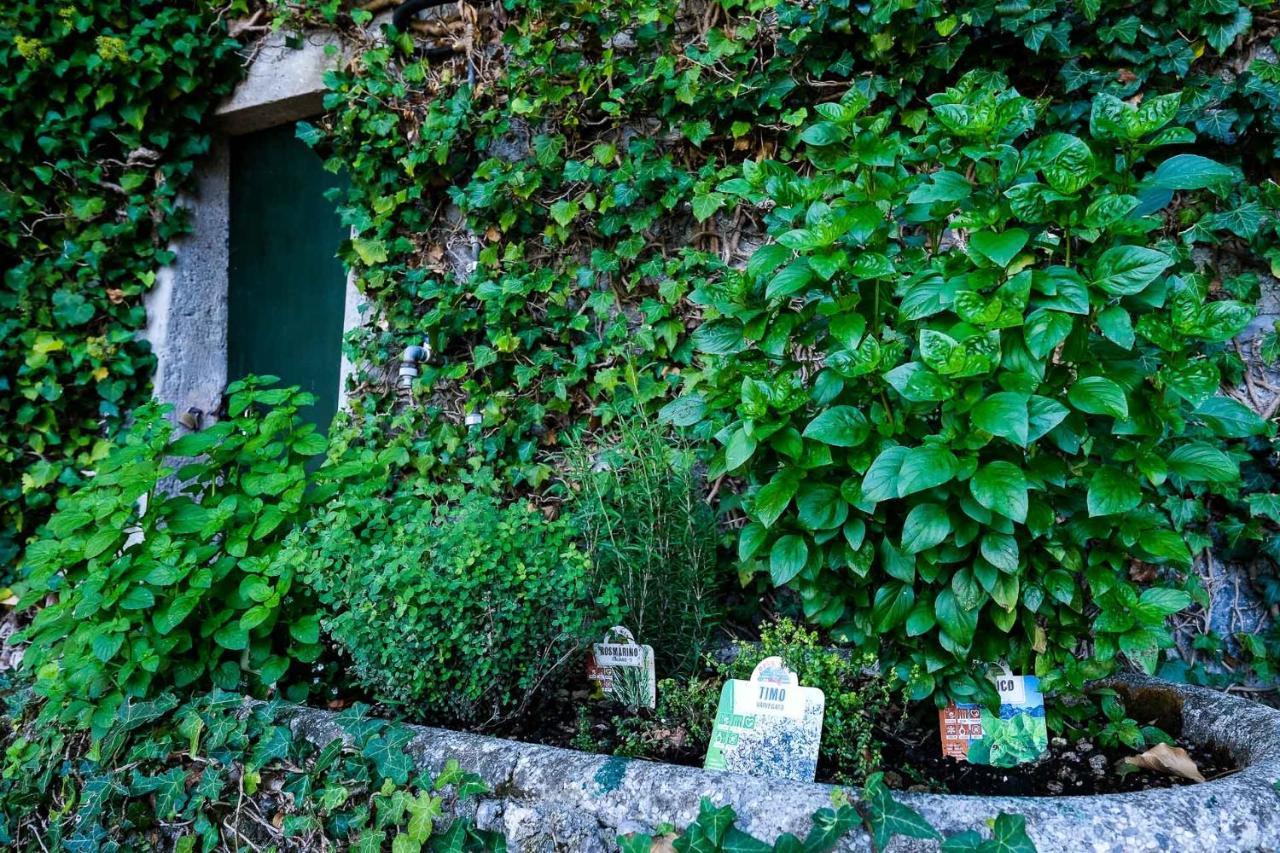 Villa Gina Varenna Kültér fotó